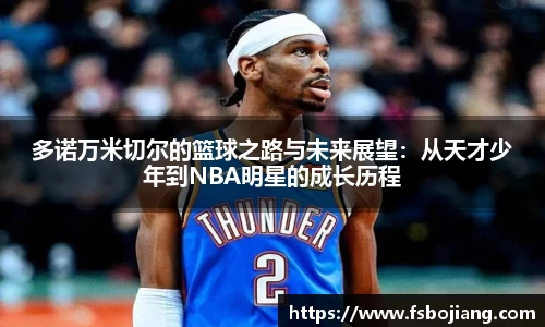 DG视讯平台